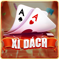 Xi-Dach 23win
